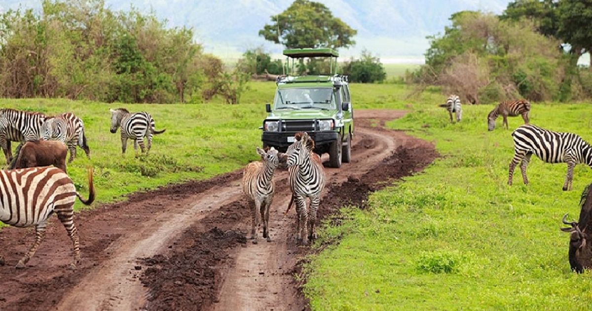 safaris from arusha
