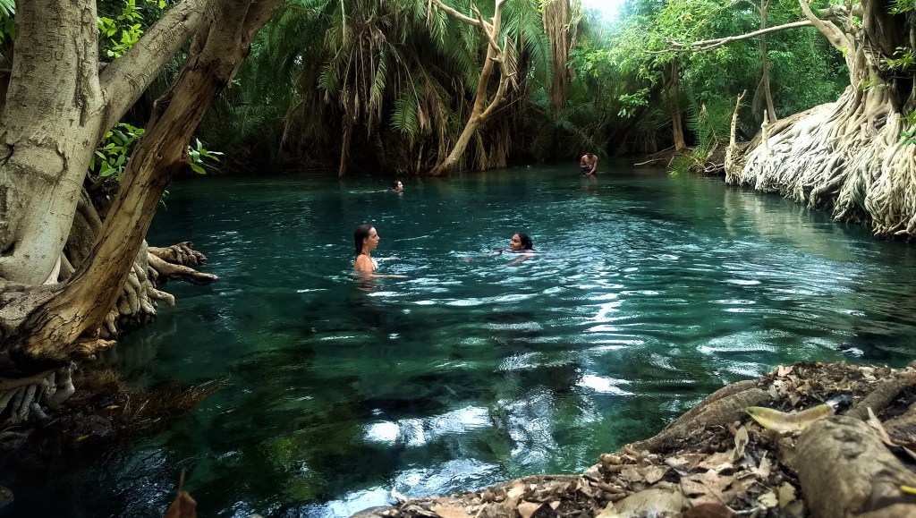 swim in natural hot spring pool - Picture of Morogoro 
